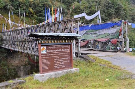 A Rescue Shelter For Injured Animals Inside Bhutan’s Bumdeling Wildlife ...