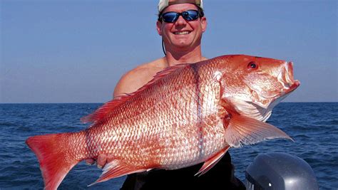 Species-Spot-Red-Snapper-Main - Louisiana Sportsman