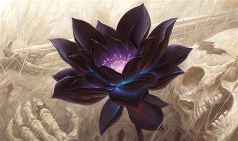 Amazon.com: Black Lotus Cards