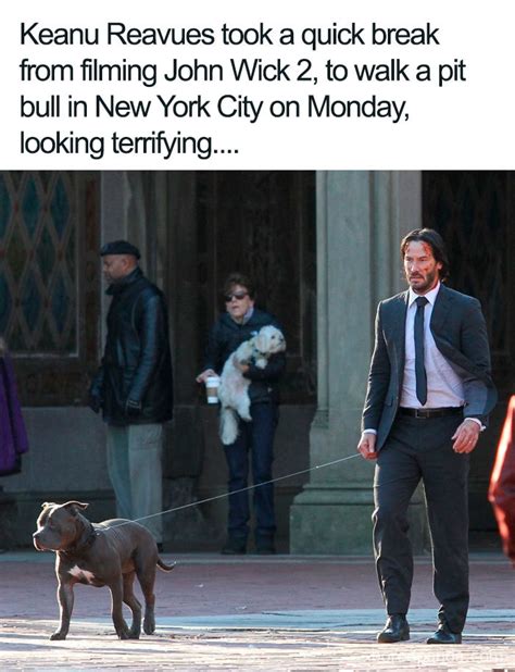 30 Of The Most Wholesome Keanu Reeves Memes | DeMilked