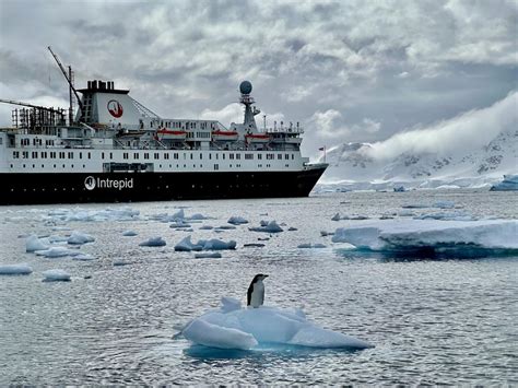 See inside the Ocean Endeavor, a ship that sails to Antarctica. Rooms can go for over $10,000.