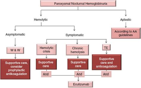 Treatment algorithm adopted from the German PNH guidelines ...