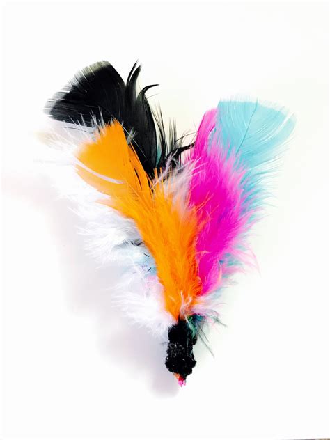 Feather Fun Cat Toys Feather Cat Toys Kitten Play Kitten