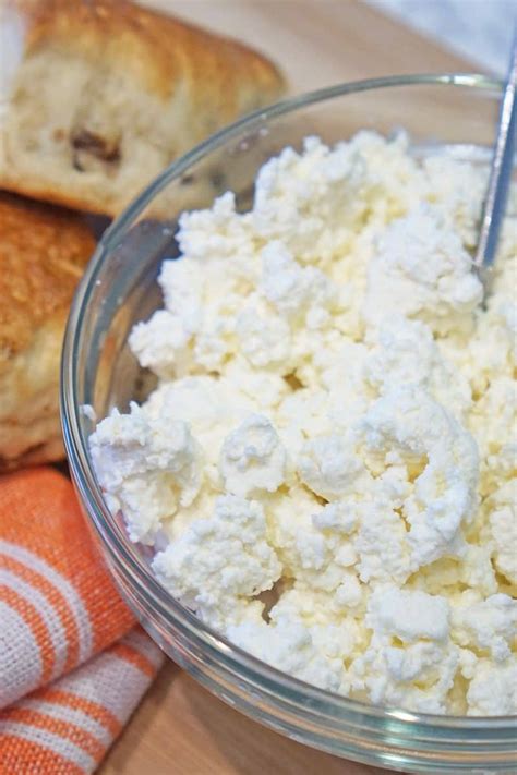 Homemade Ricotta Recipe [the Easy Way] | A Food Lover's Kitchen