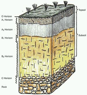 Weathered Rock | Creation Facts