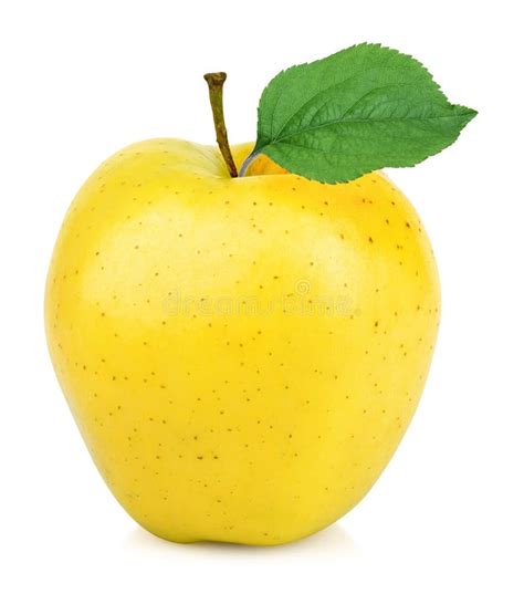 Yellow apple stock photo. Image of yellow, close, freshness - 9948856