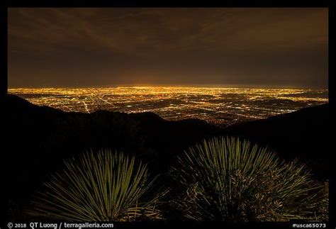 Succulents and lights of Los Angeles at night from Mount Wilson. San ...