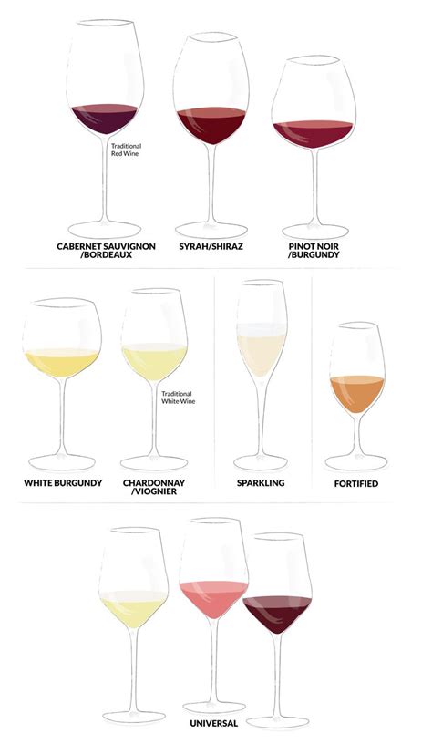 How to Select the Right Wine Glass | Guia de vinhos, Vinho, Vinhos