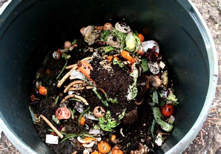 How to Compost Kitchen Waste