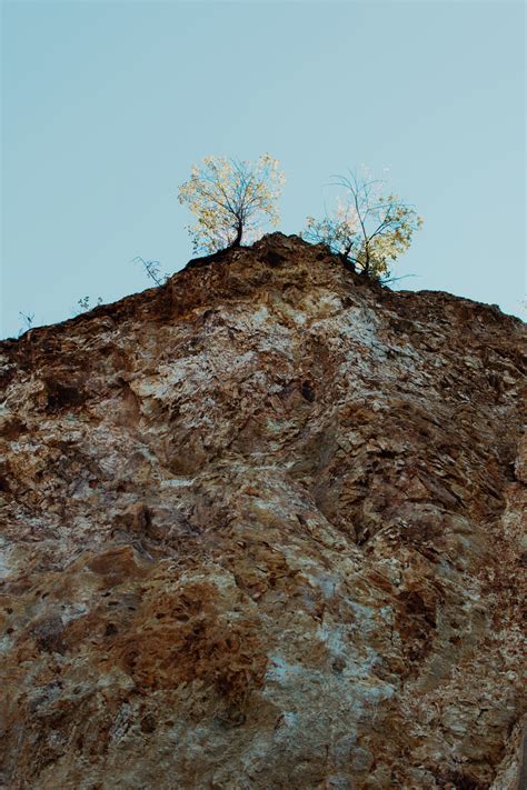 Free Images : rock, tree, wall, geology, soil, sky, outcrop, bedrock, formation, plant, hill ...