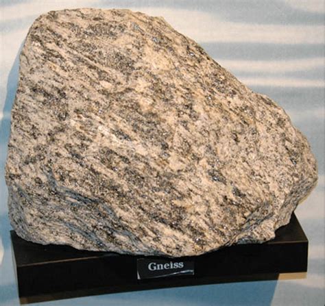 Gneiss Metamorphic Rocks