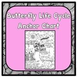 Butterfly Life Cycle Anchor Chart Teaching Resources | TpT