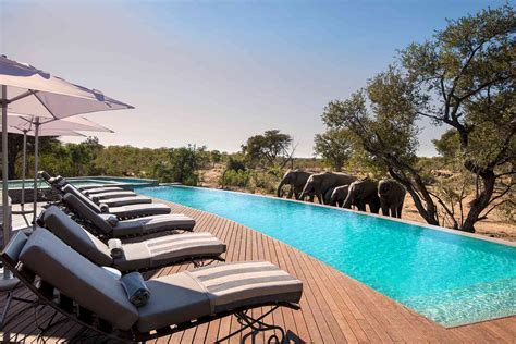 Our Readers' Favorite Safari Lodges in Africa in 2022