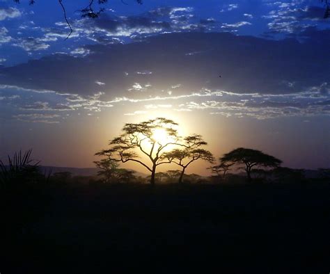 Serengeti sunset | Serengeti National Park, Tanzania | Frank | Flickr