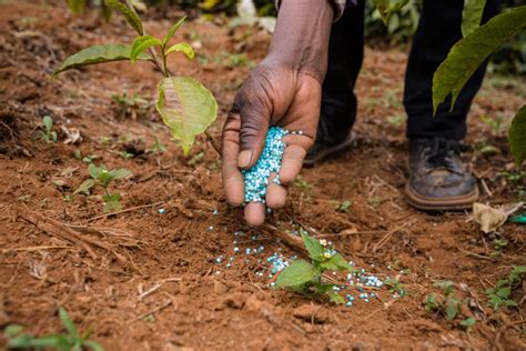 How Much Fertilizer Does Your Garden Need? - Backyard Boss