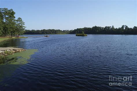 Little Pee Dee State Park Lake Photograph by MM Anderson