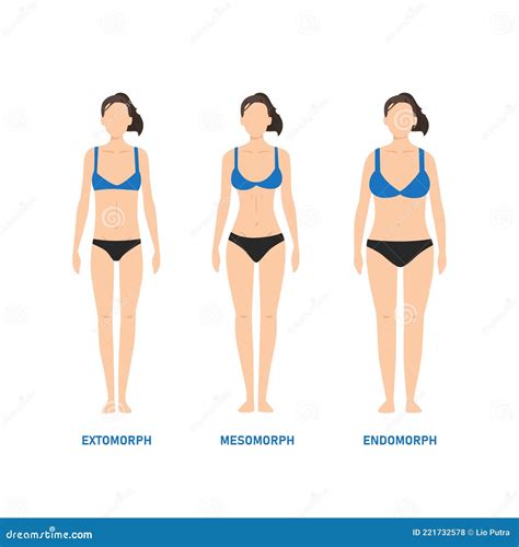 Tipos De Cuerpo Humano. Mujer Como Endomorfo Ectomorfo Y Mesomorfo ...