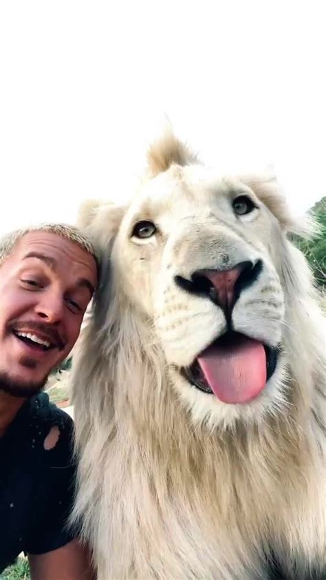 dean.schneider(@deanschneider.official) on TikTok: Caption This 😂🙌🏼🦁 ...