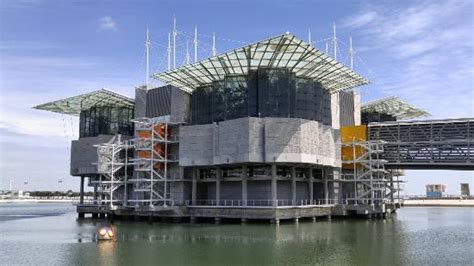 Oceanario de Lisboa (Lisbon) - 2020 All You Need to Know BEFORE You Go ...