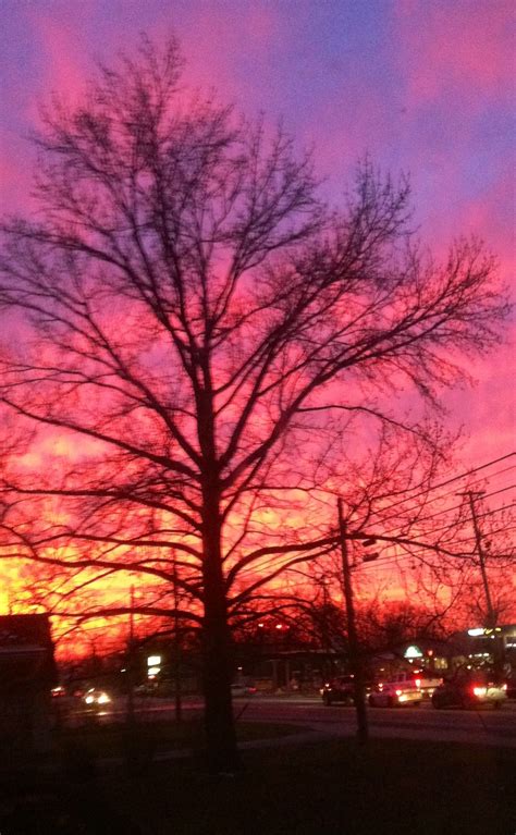 Pink sky sunset!! Outside my living room window! Carrollton, KY | Pink sky, Sunset, Sky