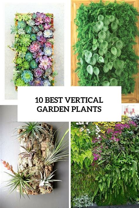 Indoor Vertical Garden Plants