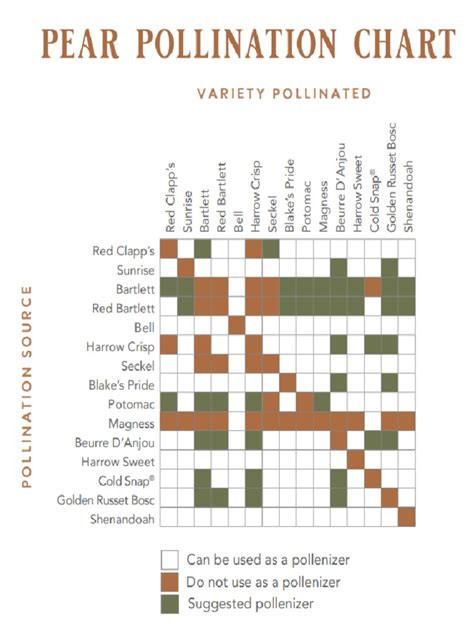 Pear Pollination Chart | PDF