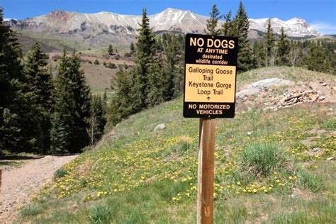 6 Family Hiking Trails in Telluride