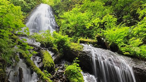 Download Greenery Fairy Falls Nature Waterfall HD Wallpaper