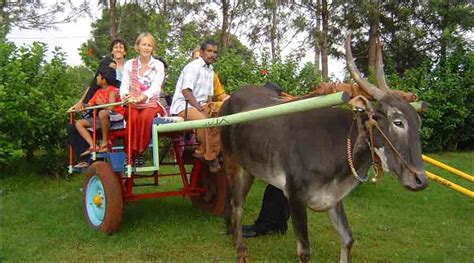 Village Tourism in India - What is Rural Tourism