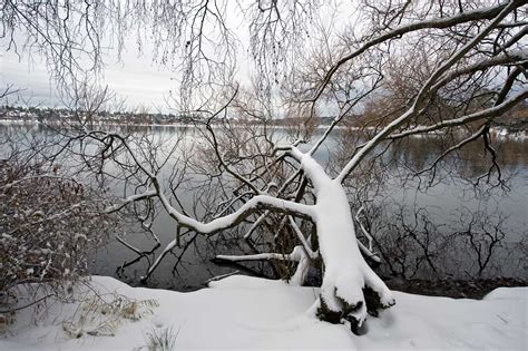 green-lake-snow-3 | Seattle Now & Then