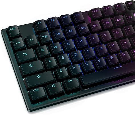 Amazon.com: RisoPhy RGB Mechanical Gaming Keyboard, 96-Key Compact ...