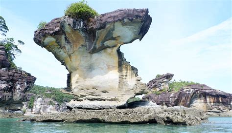 Bako National Park, Pengalaman Baru Mengunjungi Wisata Alam di Sarawak – Siti Mustiani