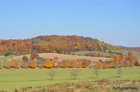 Gorgeous Fall Foliage in the Shenandoah Valley Virginia