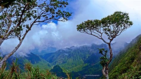 Isarog Hiking | Naga City Guide