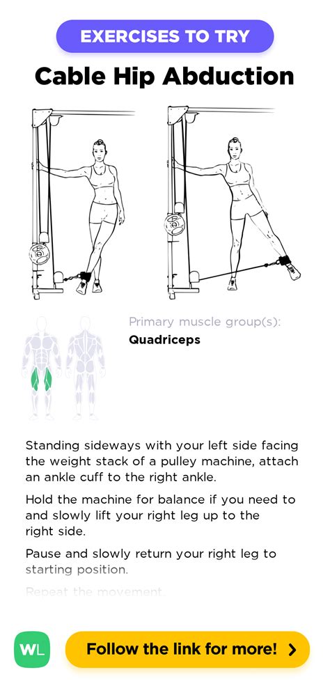 Cable Hip Abduction / Adduction – WorkoutLabs Exercise Guide