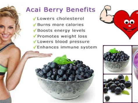 Acai berry and its amazing benefits – GD Pr Count Down Clock