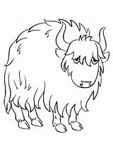 Lovely Yak coloring Page sketch template