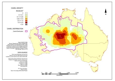 CamelScan > Large populations of feral camels in Australia