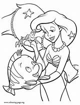 Look Sebastian And Flounder Gave Beautiful Treasures To Ariel Enjoy  sketch template