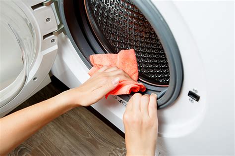 Washer Smells Moldy? Here’s How to Clean It | Sloan Appliance Service