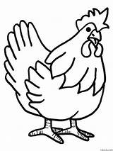 Poultry Coloring Pages sketch template