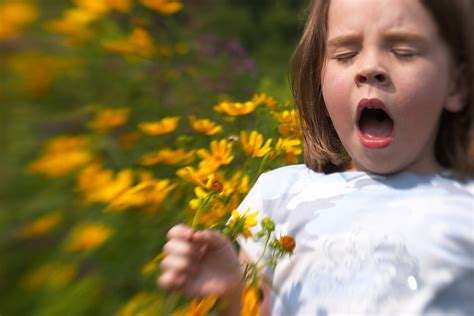 Treating Seasonal Allergies in Children