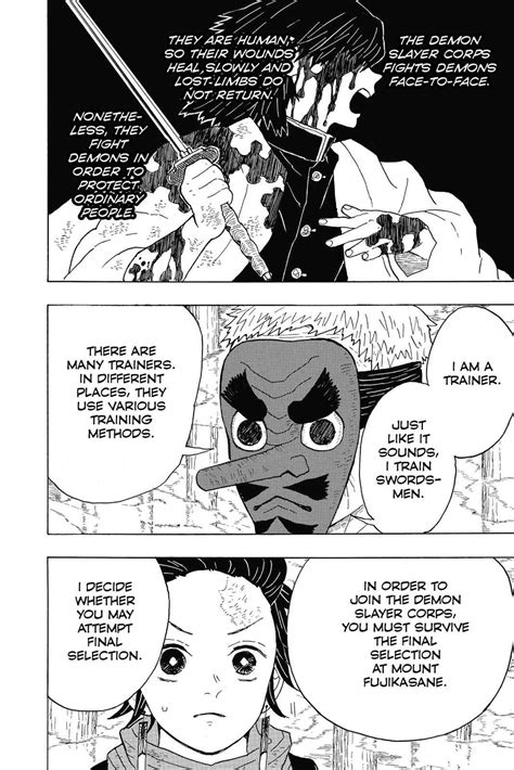 Demon Slayer: Kimetsu no Yaiba Chapter 4