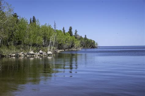 Scenery of the Lake Winnipeg Shoreline with trees at Hecla Provincial Park image - Free stock ...