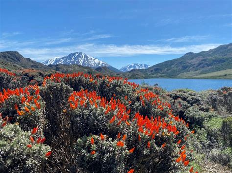 Patagonia National Park: The Story of One Couple’s Commitment to Conservation - Travel Beyond