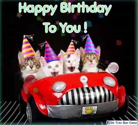 Kittens Singing Happy Birthday! Free Happy Birthday eCards | 123 Greetings