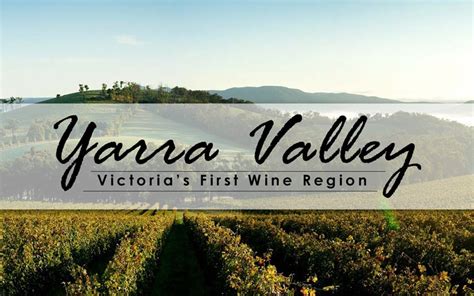 Yarra Valley Wine Region - A Wine Lover’s Paradise | Just Wines Blog