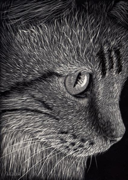 Cat Face - The Art Colony | Scratchboard art, Cat art, Scratchboard