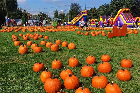 Best Pumpkin Patches and Picking in Westchester and Hudson Valley ...