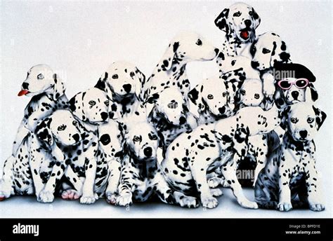 101 Dalmatians High Resolution Stock Photography and Images - Alamy